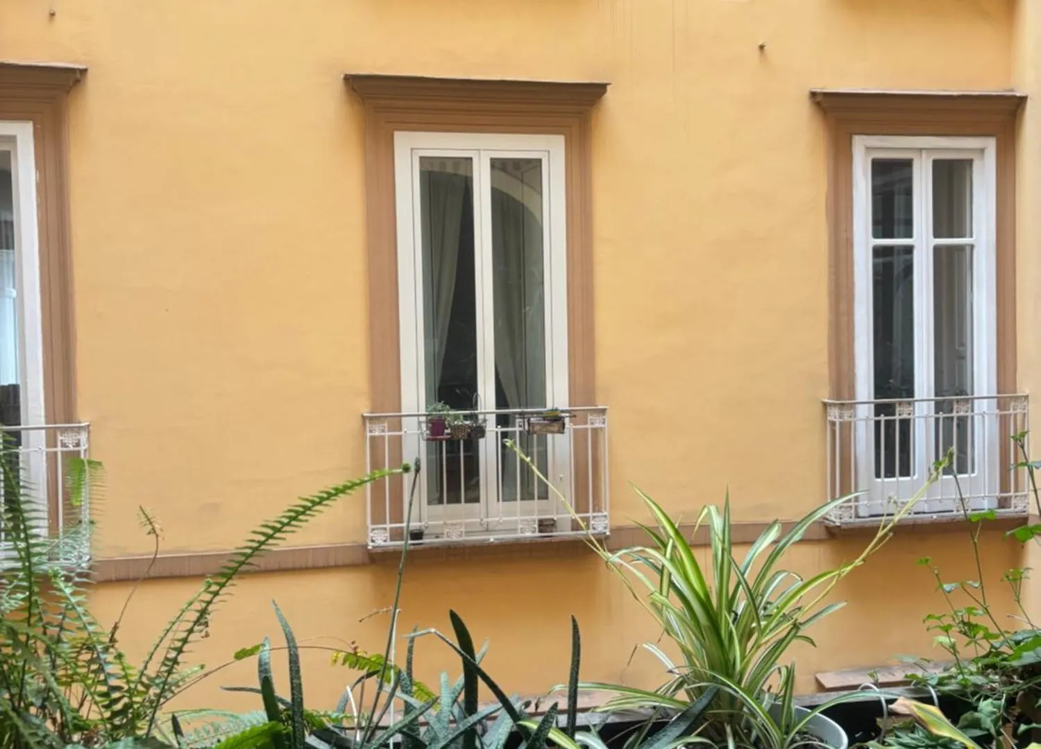 Napoli Centro Antico 77 Bed & Breakfast Italy