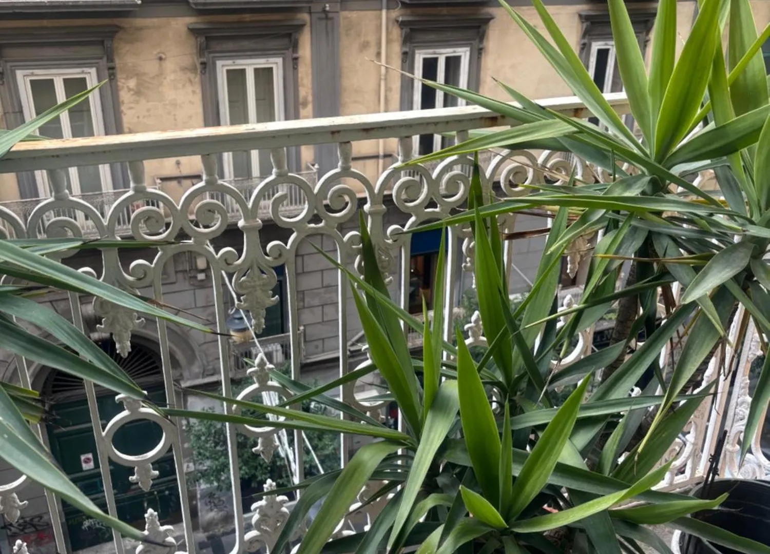 Napoli Centro Antico 77 Bed & Breakfast